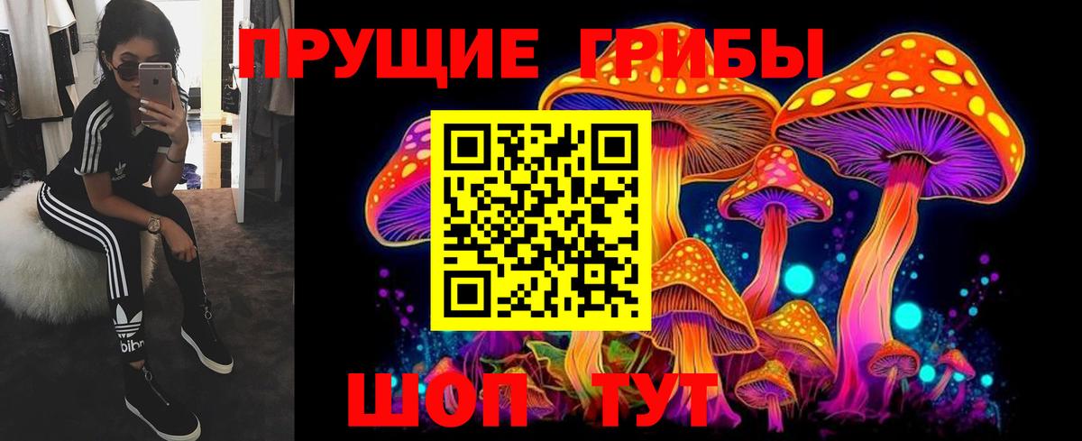 Псилоцибиновые грибы ЛСД  Вход с VPN  где найти наркотики  Гулькевичи  Галлюциногенные грибы Psilocybe 